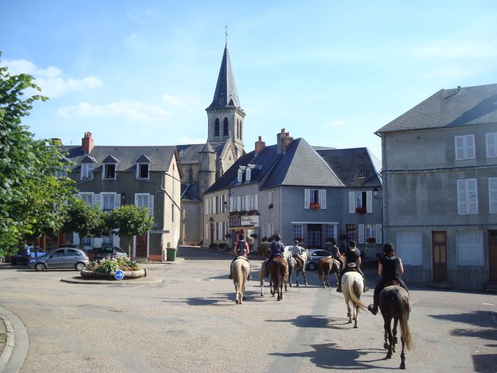 Alsace crossing in gallop