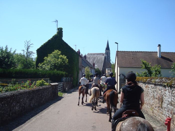 Alsace crossing in gallop