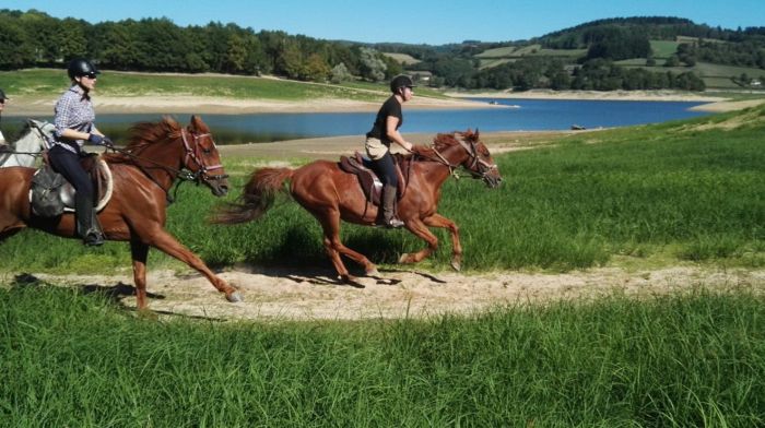 Morvan in Galopp & Morvan Lake Ride