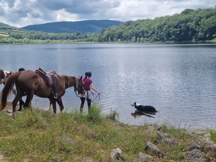 Morvan in Galopp & Morvan Lake Ride