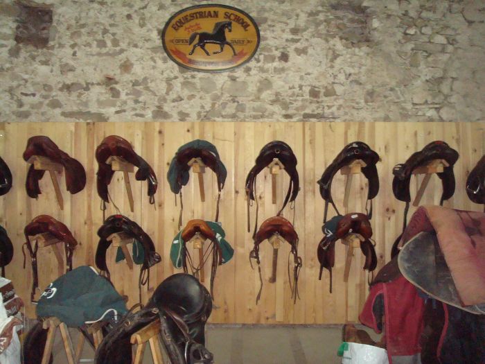 Morvan in Galopp & Morvan Lake Ride