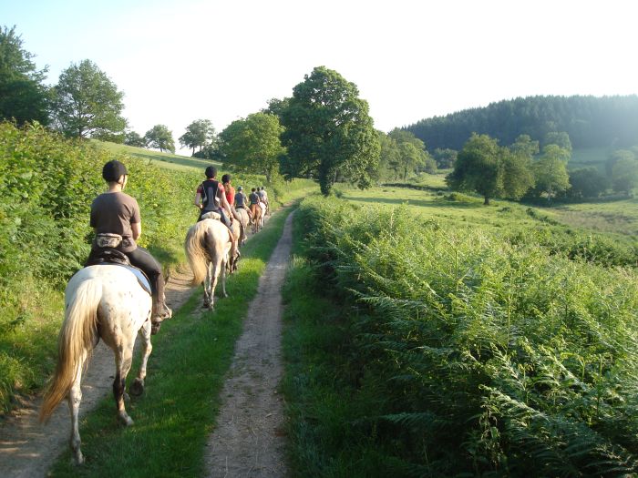 Morvan in Galopp & Morvan Lake Ride