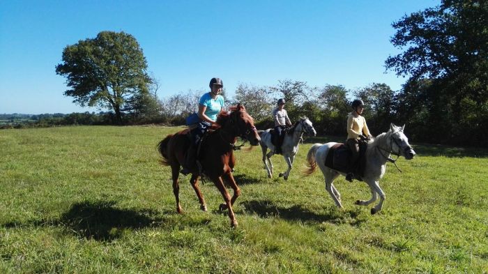 Morvan in Galopp & Morvan Lake Ride
