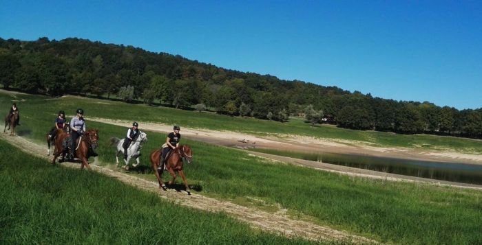 Morvan in Galopp & Morvan Lake Ride