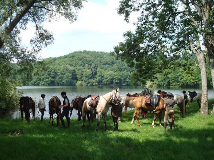 Morvan in Galopp & Morvan Lake Ride