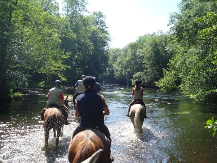 Morvan in Galopp & Morvan Lake Ride