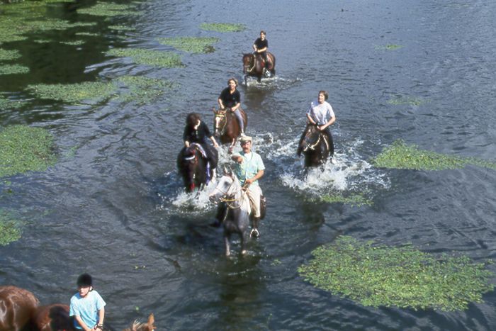 Morvan in Galopp & Morvan Lake Ride