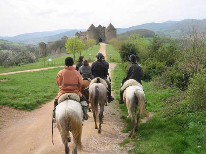 Morvan in Galopp & Morvan Lake Ride
