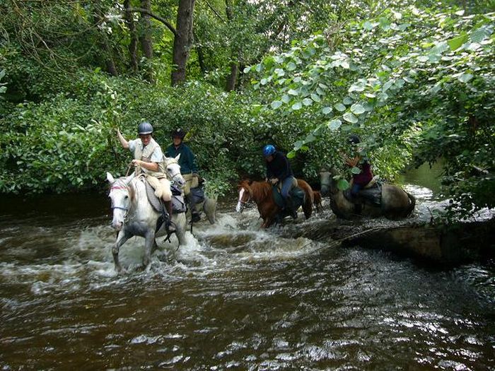 Morvan in Galopp & Morvan Lake Ride