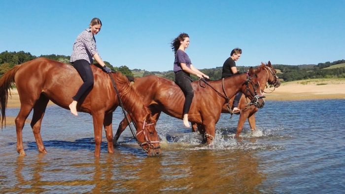 Morvan in Galopp & Morvan Lake Ride