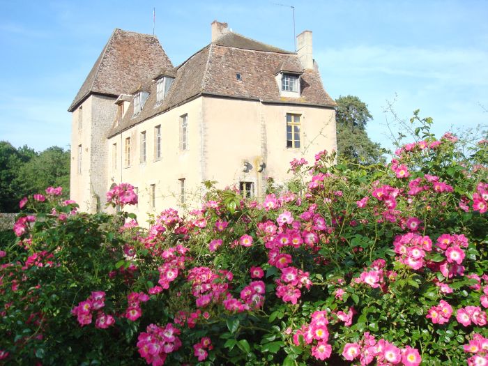 Morvan in Galopp & Morvan Lake Ride