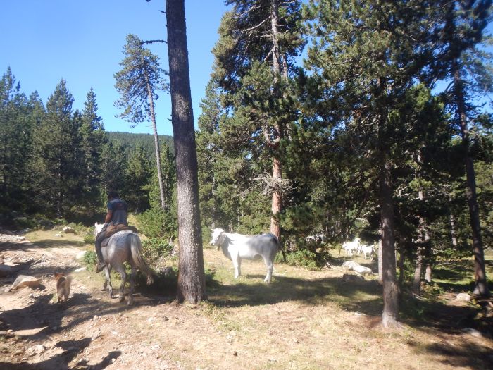 Pyrenees - Lakes - Ride