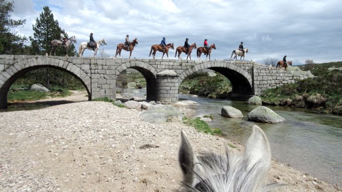 A brisk mountain ride through the Cévennes