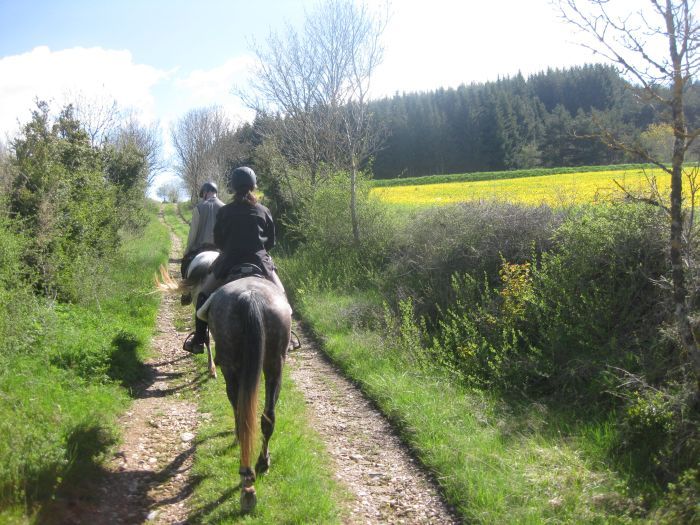 A brisk mountain ride through the C&eacute;vennes