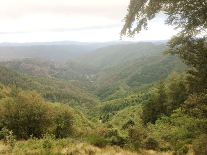 A brisk mountain ride through the Cévennes