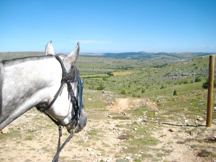 A brisk mountain ride through the Cévennes