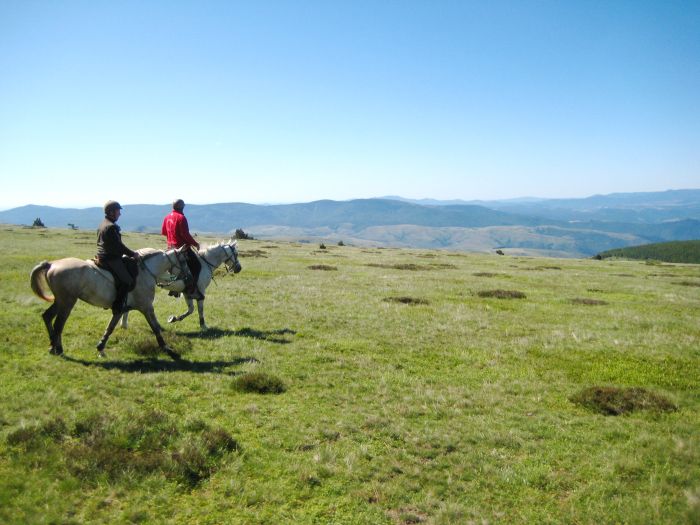 A brisk mountain ride through the C&eacute;vennes