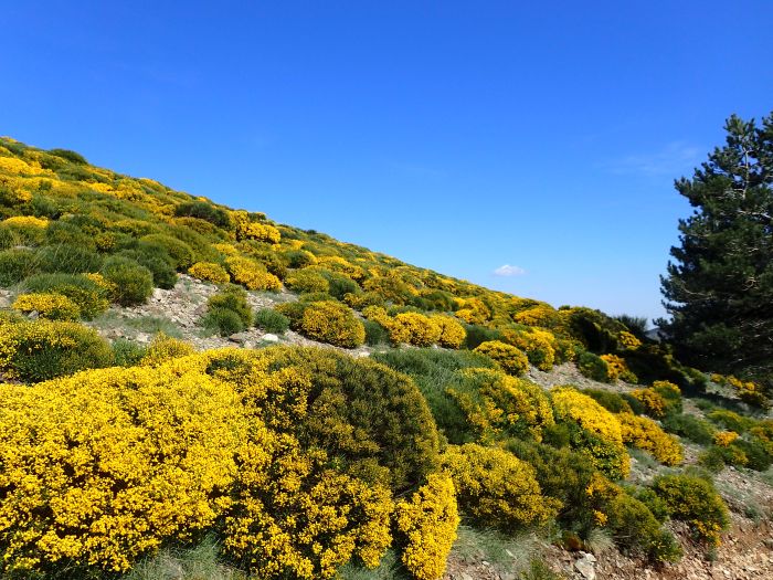 A brisk mountain ride through the C&eacute;vennes