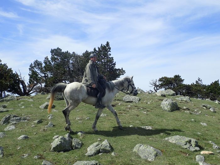 A brisk mountain ride through the C&eacute;vennes