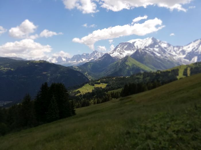 Trail through the French Alps (4/5 days)
