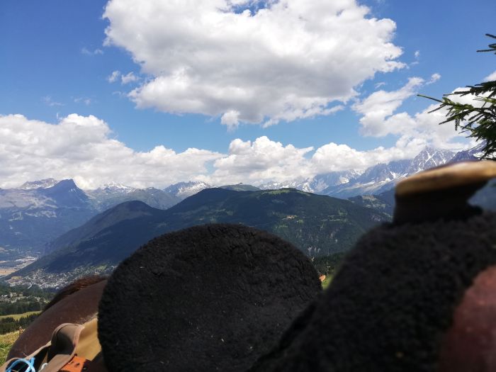 Trail through the French Alps (4/5 days)