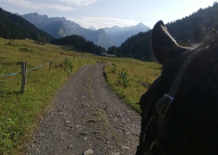 Trail through the French Alps (4/5 days)