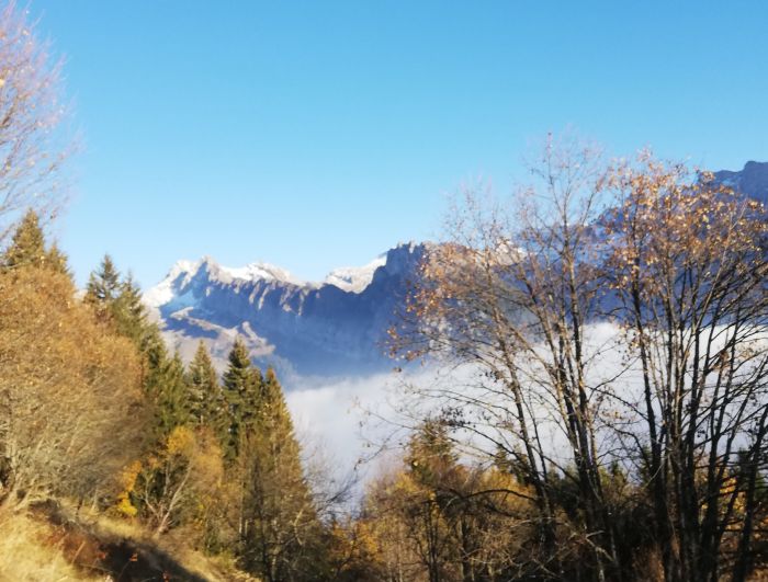 Trail through the French Alps (4/5 days)