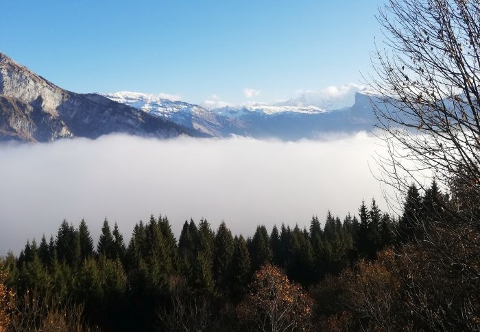 Trail through the French Alps (4/5 days)