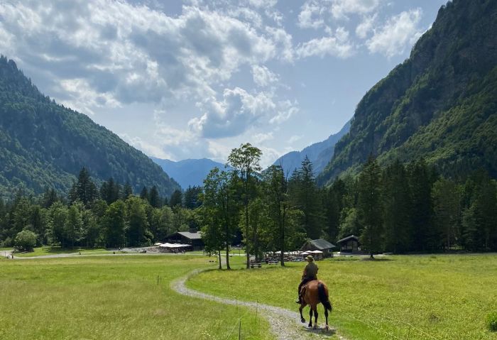 Trail through the French Alps (4/5 days)