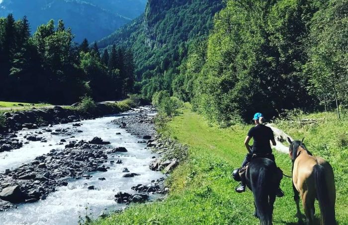 Trail through the French Alps (4/5 days)