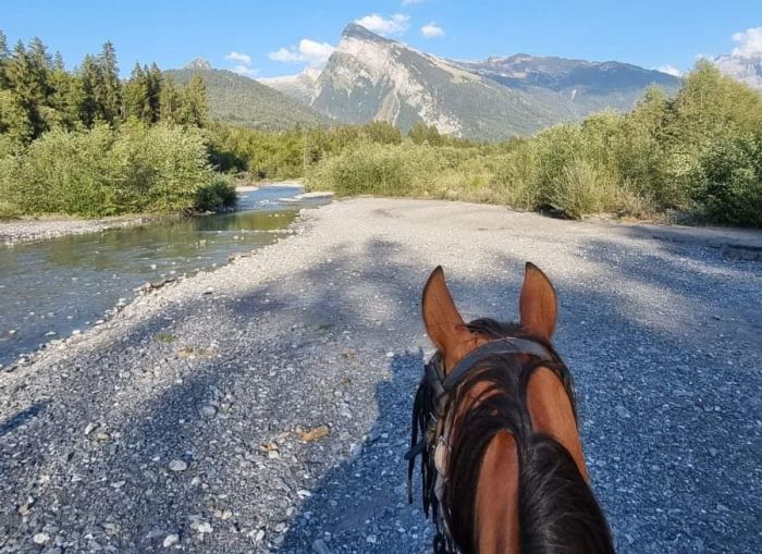 Trail through the French Alps (4/5 days)