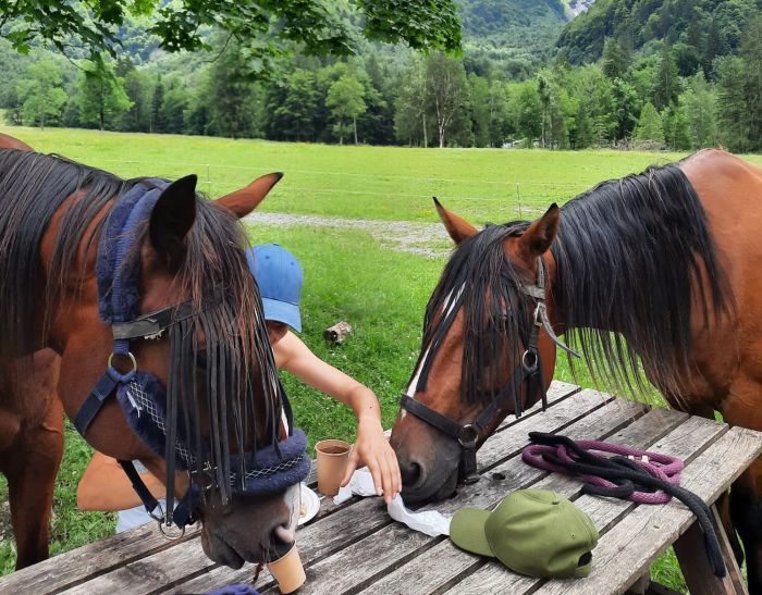 Trail through the French Alps (4/5 days)