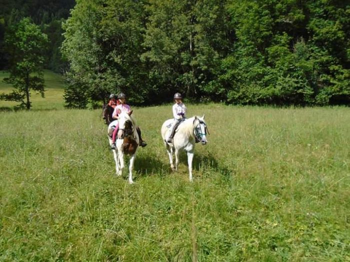 Trail through the French Alps (4/5 days)