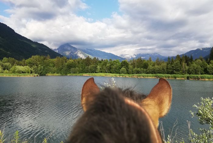 Trail through the French Alps (4/5 days)