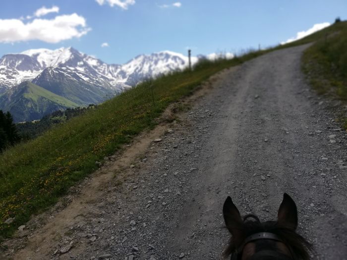 Trail through the French Alps (4/5 days)