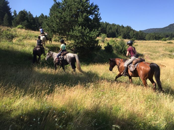 Trail riding in the heart of the Pyrenees