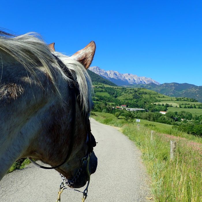Trail riding in the heart of the Pyrenees