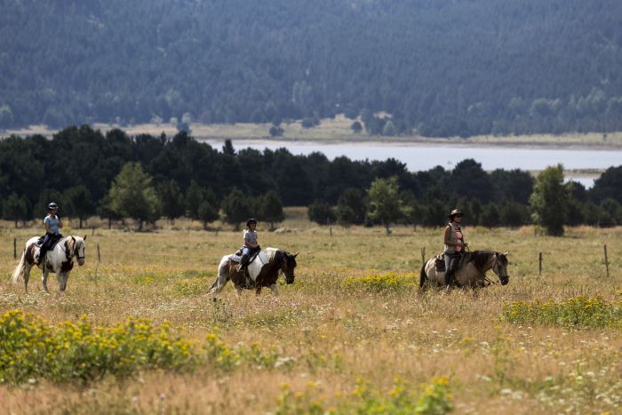 Trail riding in the heart of the Pyrenees