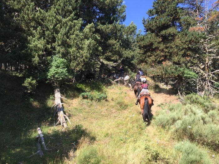 Trail riding in the heart of the Pyrenees