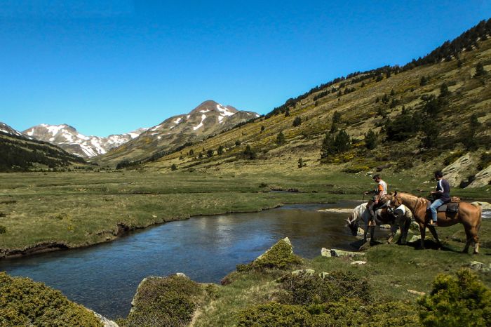 Horseback riding in the Pyrenees and introduction to trail riding