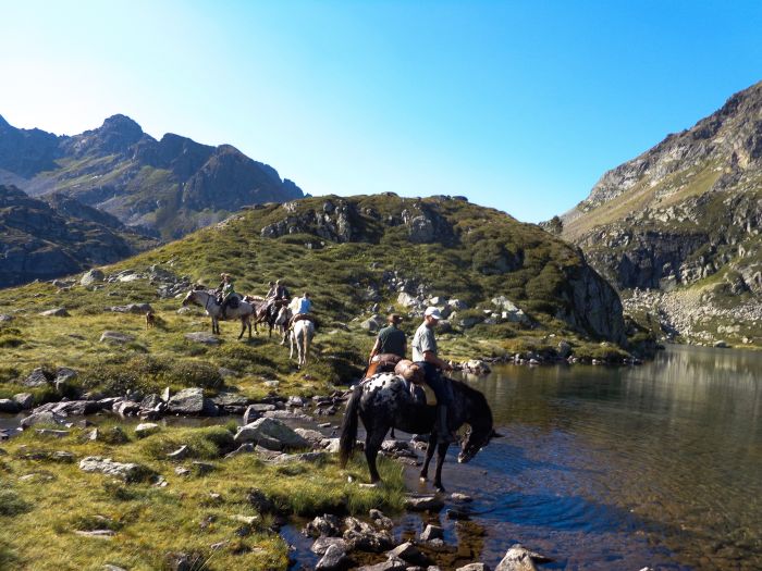 Horseback riding in the Pyrenees and introduction to trail riding