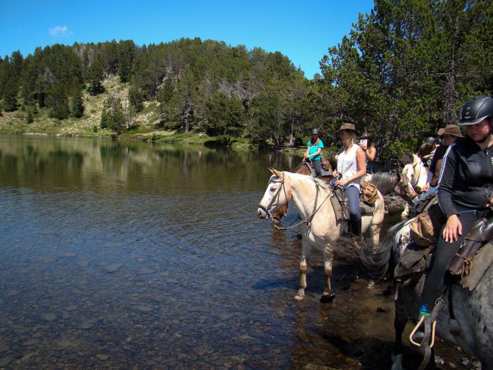 Horseback riding in the Pyrenees and introduction to trail riding