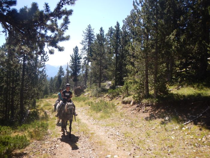 Horseback riding in the Pyrenees and introduction to trail riding