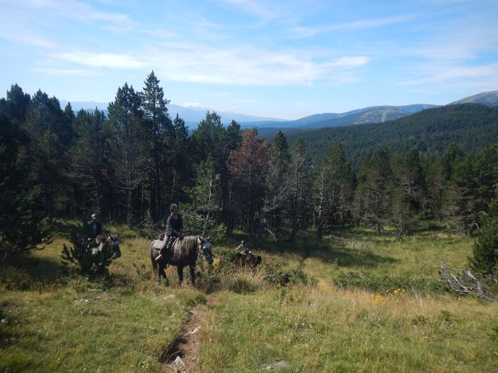 Horseback riding in the Pyrenees and introduction to trail riding