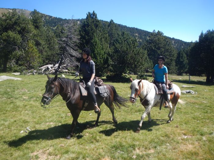 Horseback riding in the Pyrenees and introduction to trail riding