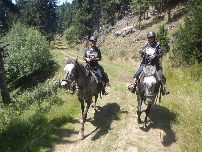 Horseback riding in the Pyrenees and introduction to trail riding
