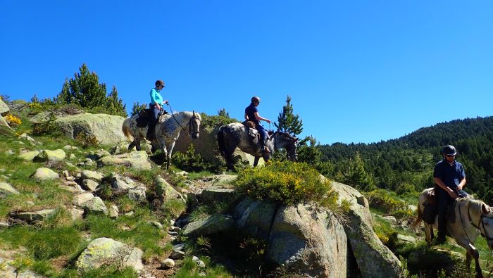 Horseback riding in the Pyrenees and introduction to trail riding