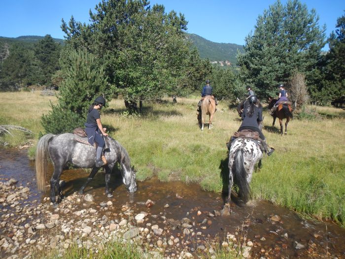 Horseback riding in the Pyrenees and introduction to trail riding