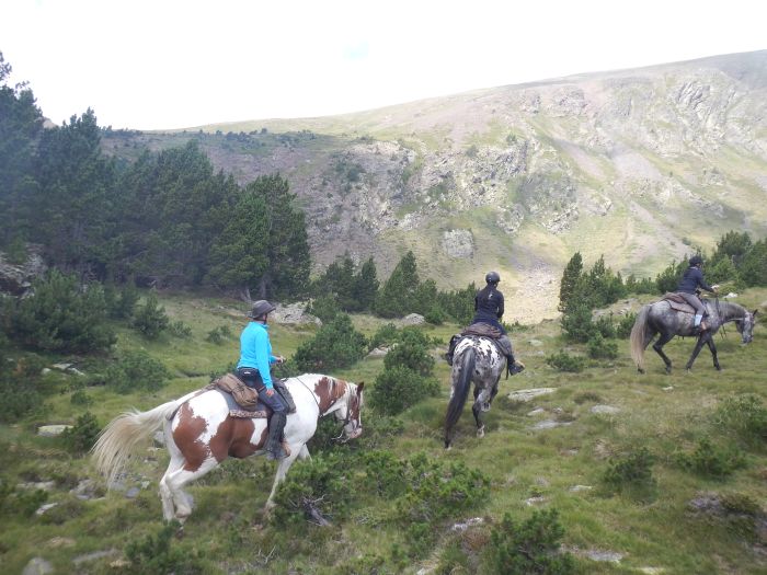 Horseback riding in the Pyrenees and introduction to trail riding