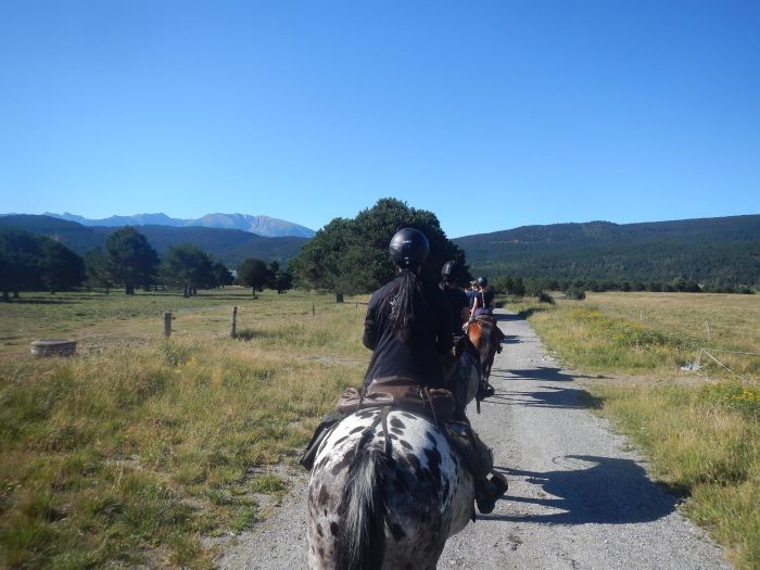 Horseback riding in the Pyrenees and introduction to trail riding